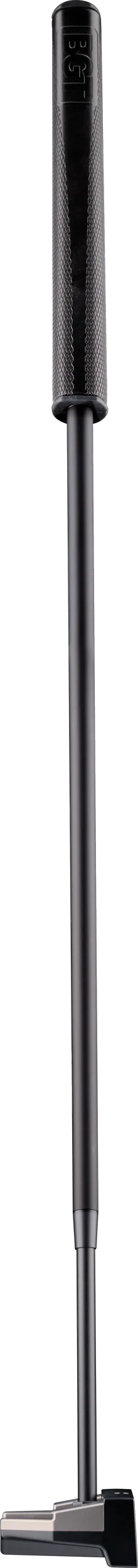 PARADOX PUTTER MALLET 全体の斜めアングル1