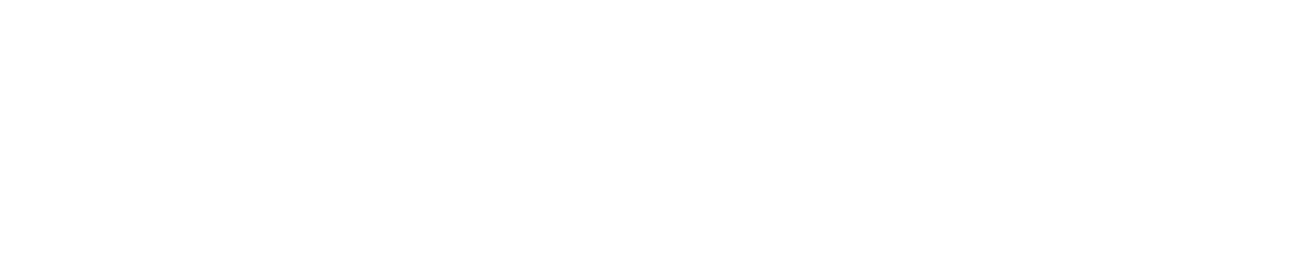 STABILITY CARBON PRO